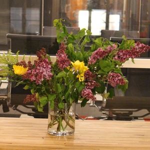 Meet your Posher, Julia